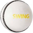 DSC Swing Cricket Leather Ball (Standard, White, Gold)...