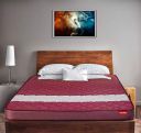 Duroflex Durobond NXT - 5 Inch Single Size Coir Mattress (78x30x5)...