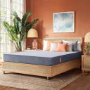 duroflex Livein - Pressure Relieving, Memory Foam Mattress Single Bed, Roll Pack, 6 Inch Single Size Medium Firm Bed Mattress with Superior Comfort & Anti Microbial Fabric (72x36x6)...
