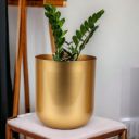 ecofynd 4.3 inches Round Metal Planter for Home Decor, Pack of 1 (Gold)...