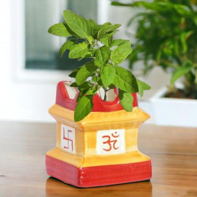 ecofynd 5 inches Tulsi Ceramic Plant Pots, Flower Pot with Drainage Hole, Decorative Modern Indoor Planters, Home Garden Decor for Living Room Bedroom Interior (Yellow,CPOT016)