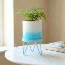 ecofynd Lucas Metal Plant Pot with Sky Blue Stand, Modern Style Planter Set (PWS032-WHTSBL)...