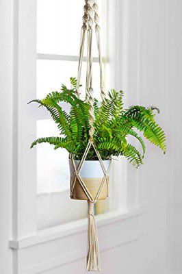 ecofynd Macrame Plant Hanger | 39 inches, Pack of 1