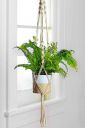 ecofynd Macrame Plant Hanger | 39 inches, Pack of 1...