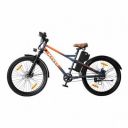 Electric Bicycle...