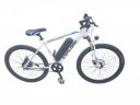 Electric Cycle ...
