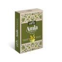 Elina amla powder for hair growth | organic dry amla powder for hair | pure and natural | chemical free | Indian gooseberry powder for hair | men & women | Free from Preservatives & Chemicals | Pack o...