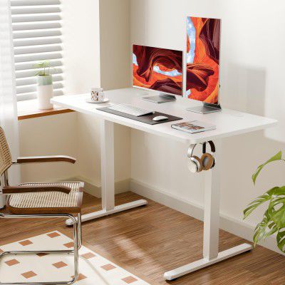 ERGOMAKER Electric Standing Desk 120x60cm (47.2"x23.6") (White Frame + White Desktop)