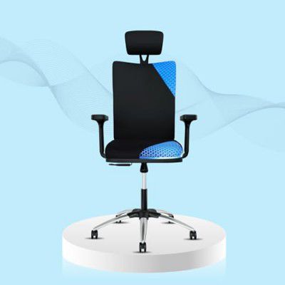 ErgoSmart by The Sleep Company - Plus Orthopedic Office Chair | Black (Onyx)
