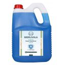 ERHETUS MORLIVALA Anti-Bacterial Instant Hand Sanitizer | FDA Approved 70% Alcohol Based Sanitizers | Non-Sticky Disinfectant Liquid Based Cleanser - 5 Litre...