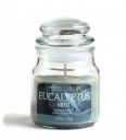 Eucalyptus Mint Aroma Scented Candle...