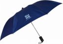 EUME Leatrix 21 Inch 2 Fold Auto-Open Umbrella...