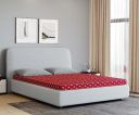 Euro Dreams Elixir PU Foam 4-inch Queen High Density (HD) Foam Mattress (Maroon, 78x60x4)...