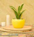 Everett Iron Yellow Desk Pot...