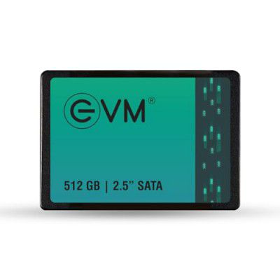 EVM 512GB 2.5-" SATA Internal SSD - 550MB/s Read & 500MB/s Write - 5-Year Warranty (EVM25/512GB)