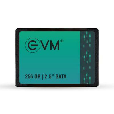 EVM SATA Internal SSD - Read: 550MB/s & Write: 500MB/s - SATA Solid-State Drive - 5Years Warranty, 256GB 2.5 Inch