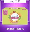 Fevicryl Mould It