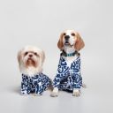 Ezra Polyester Blend Dog Shirt – Abstract Blue, Small | Lightweight & Breathable Outfit for Dogs...