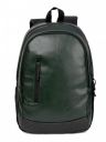 F Gear Bi Frost Executive 28 Liter Laptop Backpack (Brown)...