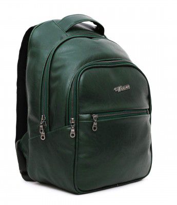 F Gear Glorious 18 Liters Laptop Backpack (Bottle Green)
