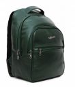 F Gear Glorious 18 Liters Laptop Backpack (Bottle Green)...