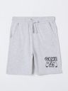 Fame Forever by Lifestyle Boys Grey Shorts...