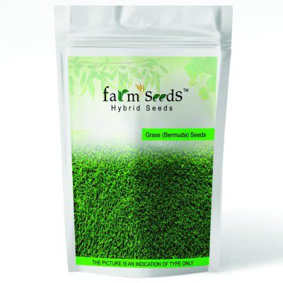 Farm Seeds Bermuda Grass - (10KG Pack)