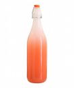 Favola Essentials Frosted Design Glass Airtight Water Bottle, 1 Litre, Orange...