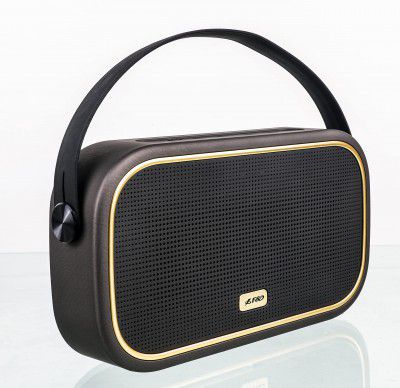 F&D W18 10W Bluetooth Speaker V5.0 and USB, TF Card Slot, Built-in Microphone with FM Radio