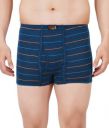 FEEL TRACK Striped Men Trunk...