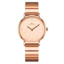 Ferro Analog Rose Gold Dial Women's Watch-F40074-05...