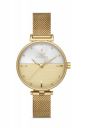 Ferro Sorrento Analog Multicolour Dial Women's Watch-F21224C-B4...