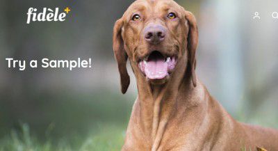 Fidele : Free Sample for Dog