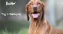 Fidele : Free Sample for Dog...
