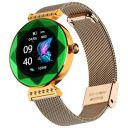 Fire-Boltt Emerald Gemstone-Studded Diamond Cut Smart Watch with 1.09” HD Display, Multiple Sports Modes, Health Suite, Wireless Charging, IP68 with Additional Stainless Steel Strap (Green)...
