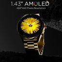 Fire-Boltt Invincible Plus 1.43" AMOLED Display Smartwatch with Bluetooth Calling (Gold SS)...