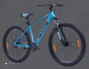 Firefox Bad Attitude 29 with Dual disc for Tall Height Guys...