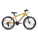 Firefox Bikes Cyclone-24T 21 Speed Aluminum-Alloy Mountain Bike ...