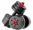 FitBox Sports Intruder 20 Kg Dumbbells Weights, 10 Kg X 2...