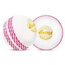 FitBox Sports Professional Ball Pack of 2 Cricket Balls | Wind Ball 130gm for Indoor & Outdoor - White/Black...