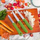 Flipkart SmartBuy 1 and 2 Kitchen Tool Set  (Green, Peeler, Knife)...
