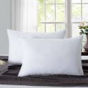 Flipkart SmartBuy 18043-2-16x24 Cotton Solid Sleeping Pillow Pack of 2  (White)...