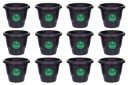 Flower Planter for Indoor & OutDoor Gardening (6 Inch, Set of 15)...