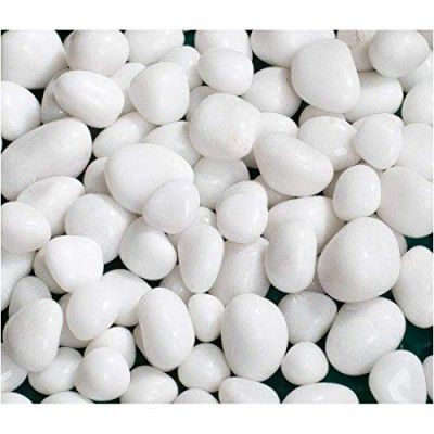 Foodie Puppies Polished White Pebbles Glossy Stones - 1Kg (2.5cm - 4cm)