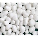 Foodie Puppies Polished White Pebbles Glossy Stones - 1Kg (2.5cm - 4cm)...