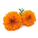 Fresh Flower Marigold Orange, 250 g...