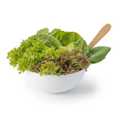 Fresh Hydroponics Lettuce Mix (150gm)