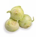 Fresh Knol Khol, 250g...