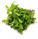 Fresh Mint Leaves, 100 Grams...