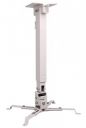 FRIWOL Universal Projector Ceiling Mount Bracket 2 FT for LED/LCD...
